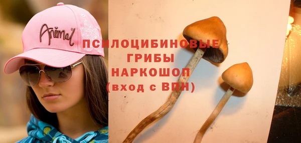 ГАЛЛЮЦИНОГЕННЫЕ ГРИБЫ Краснослободск