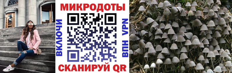 Галлюциногенные грибы Magic Shrooms  Купить закладки  Обь 